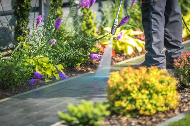 Best Driveway Pressure Washing  in Goldsboro, NC