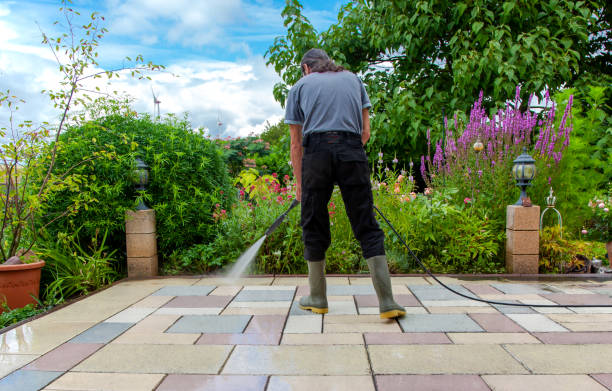 Best Sidewalk and Walkway Cleaning  in Goldsboro, NC
